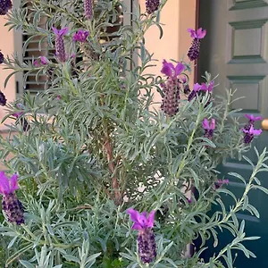 Casa vacanze A Due Passi Dalla, Selargius